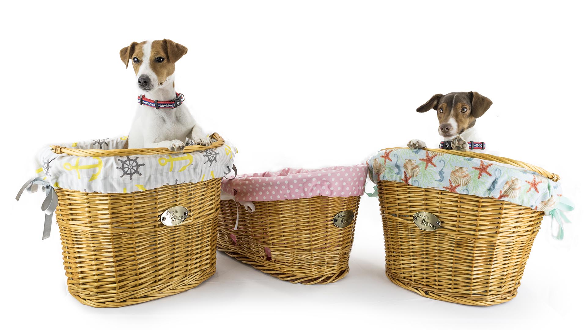 wicker bicycle basket for dogs