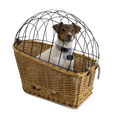beach cruiser basket for dogs