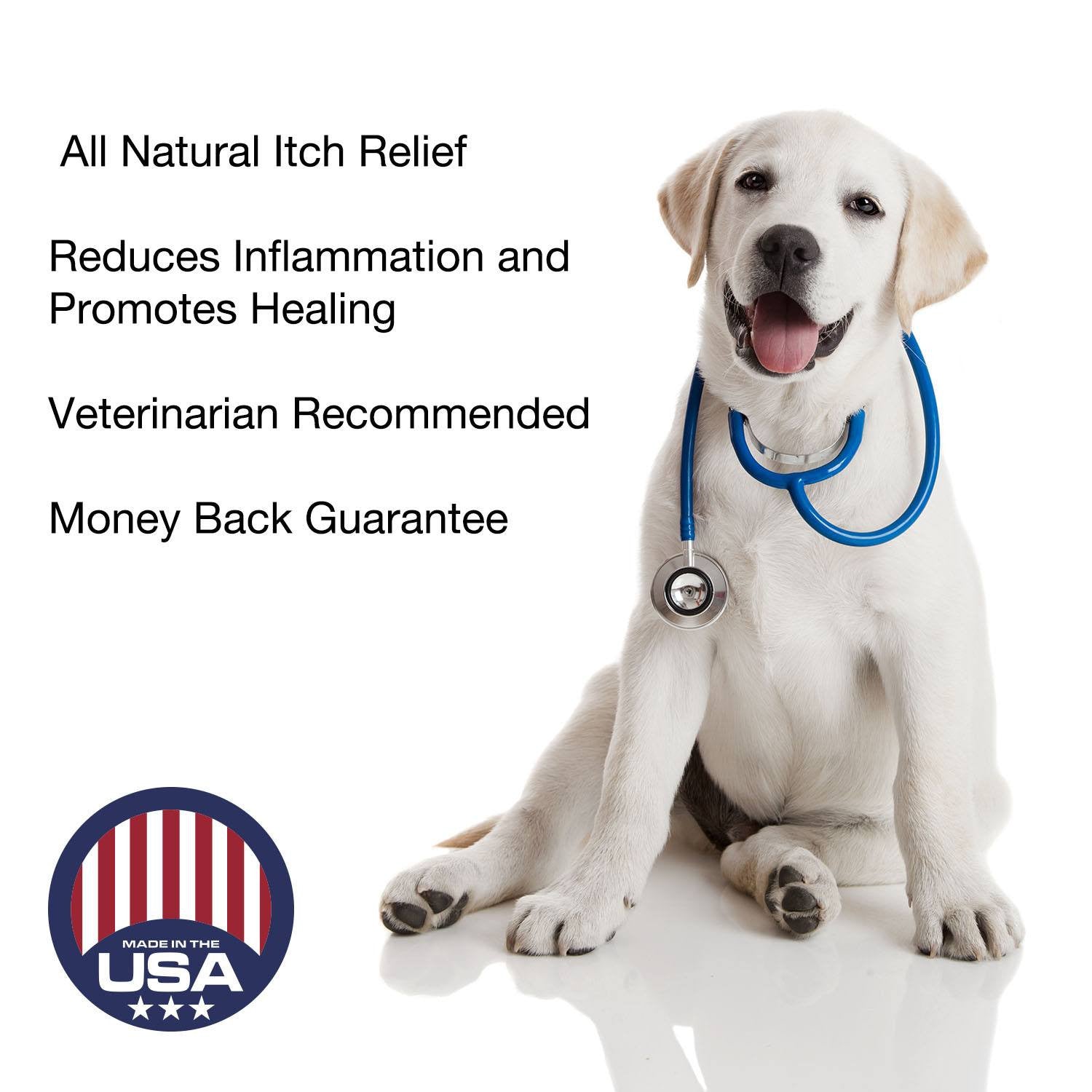 best topical itch relief for dogs