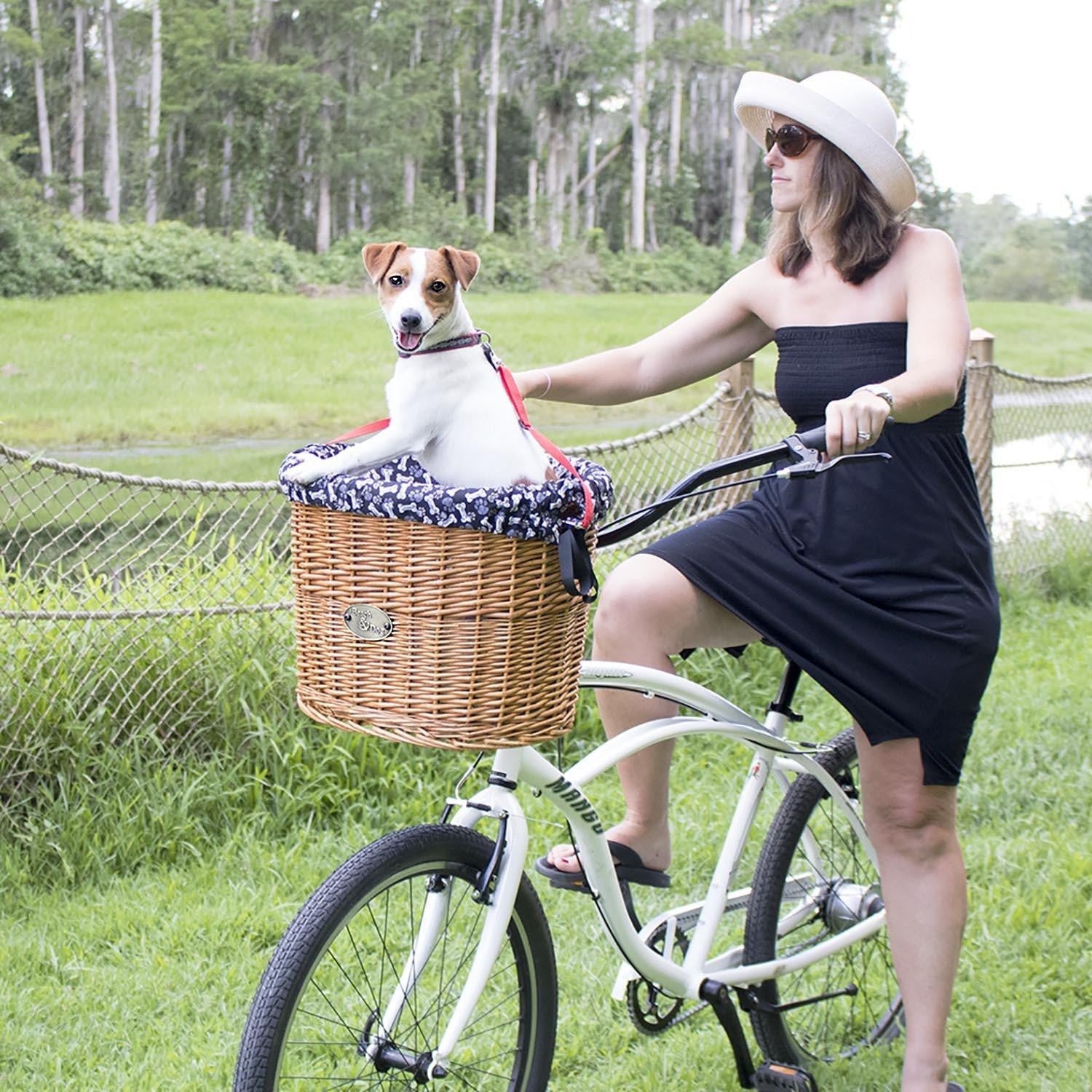 bike basket for dog up to 20 pounds