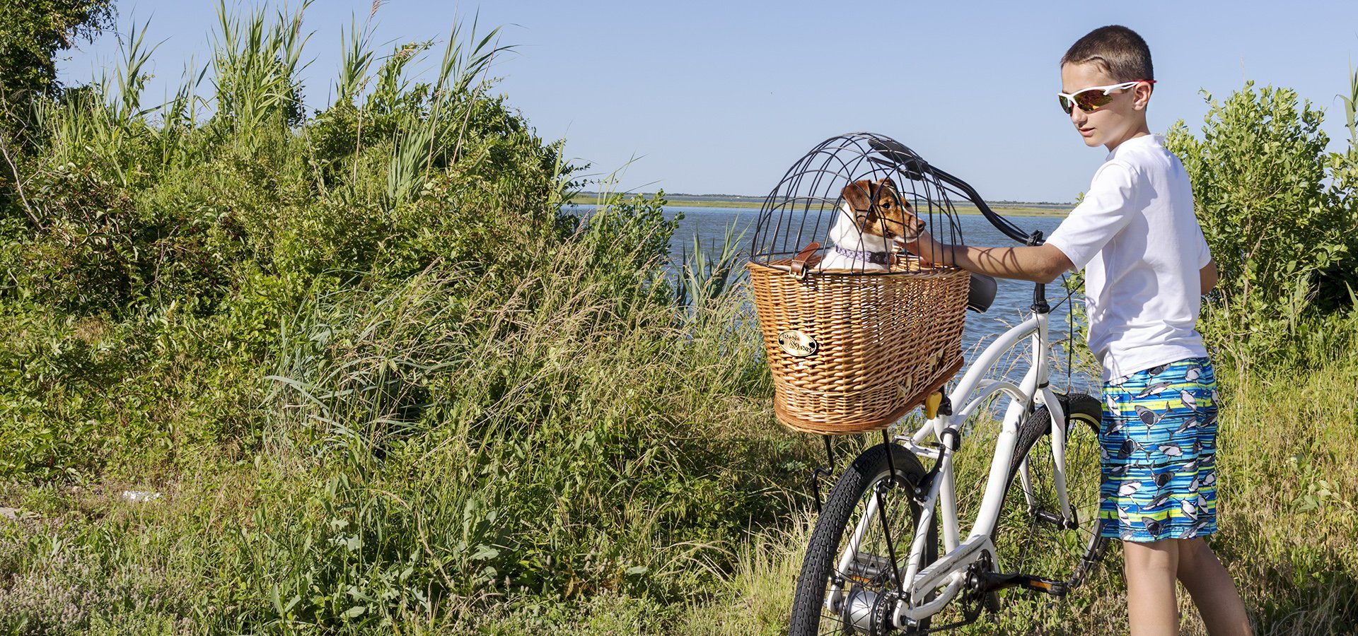 beach and dog basket