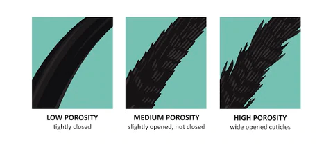 Types of hair porosity