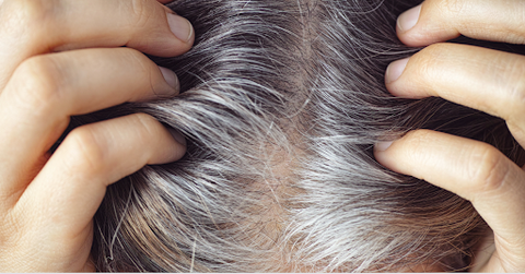 How to care for gray hair
