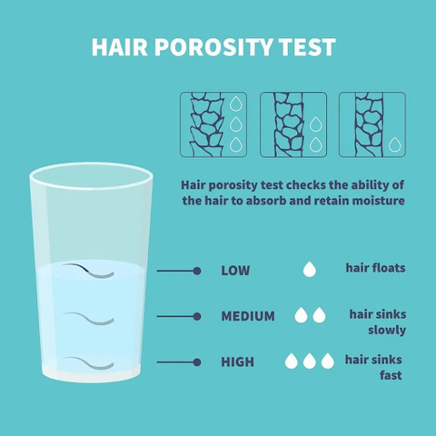 Hair porosity test