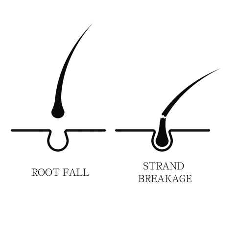Hair Fall vs Hair Breakage