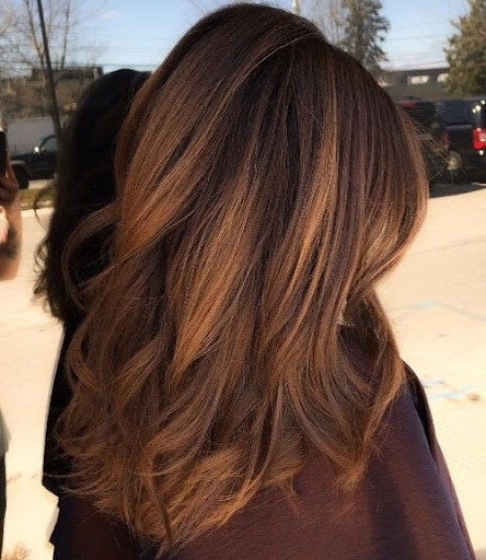 Chestnut Brown Hair Highlights