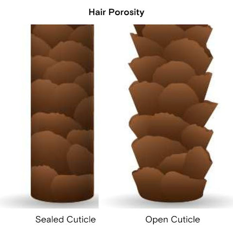 Sealed vs open cuticle in hair
