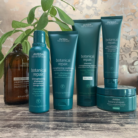 Aveda Botanical Repair™ Rich Strengthening Set