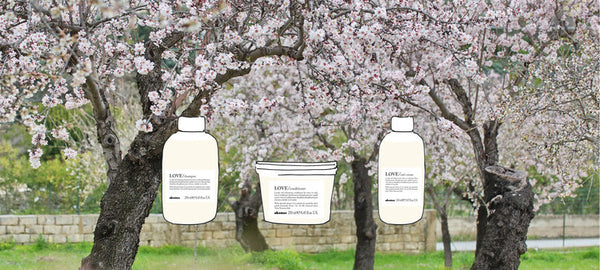 Davines LOVE Curl Enhancing Range for Wavy or Curly Hair