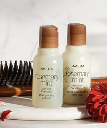 AVEDA Rosemary Mint Shampoo & Conditioner Travel Set