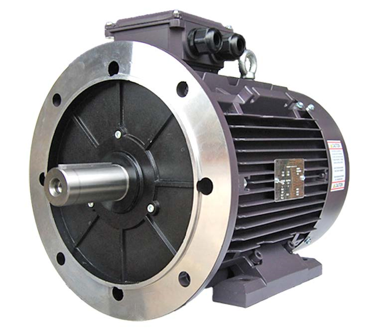 Three Phase Electric Motor 30kw 4p 1480rpm 415v B35 Footflange Mounted Tci200l 4 Ip55 Cast 