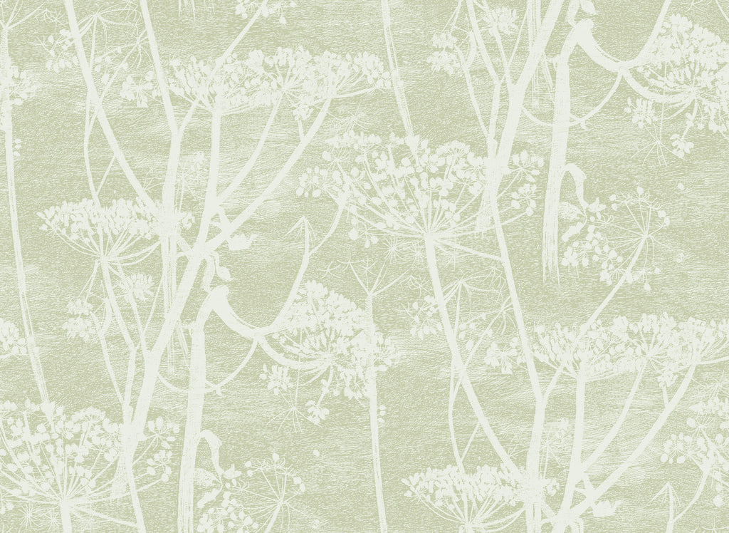 Cole & Son - Cow Parsley - Charcoal - Wallpaper Trader
