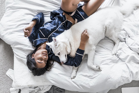 A person lying in bed with their dog in their pajamas.