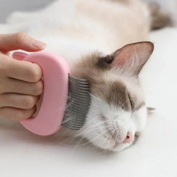 Brosse Pour Poil Chat J Aime Vraiment Chat