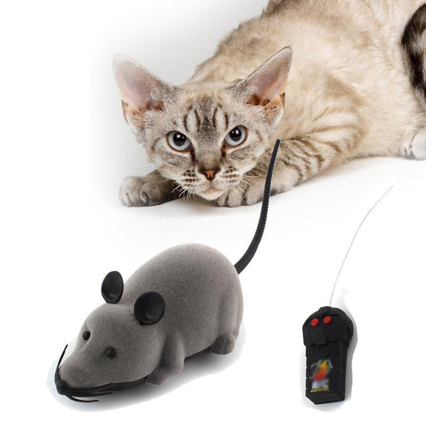 Souris Telecommandee Pour Chat J Aime Vraiment Chat