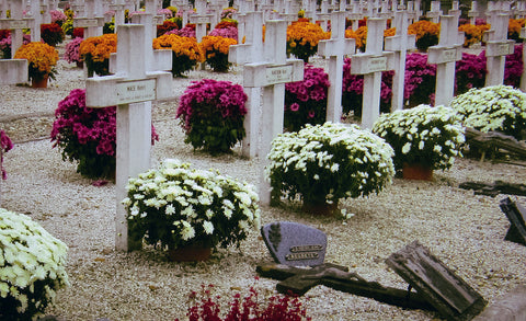 flowers that symbolize death