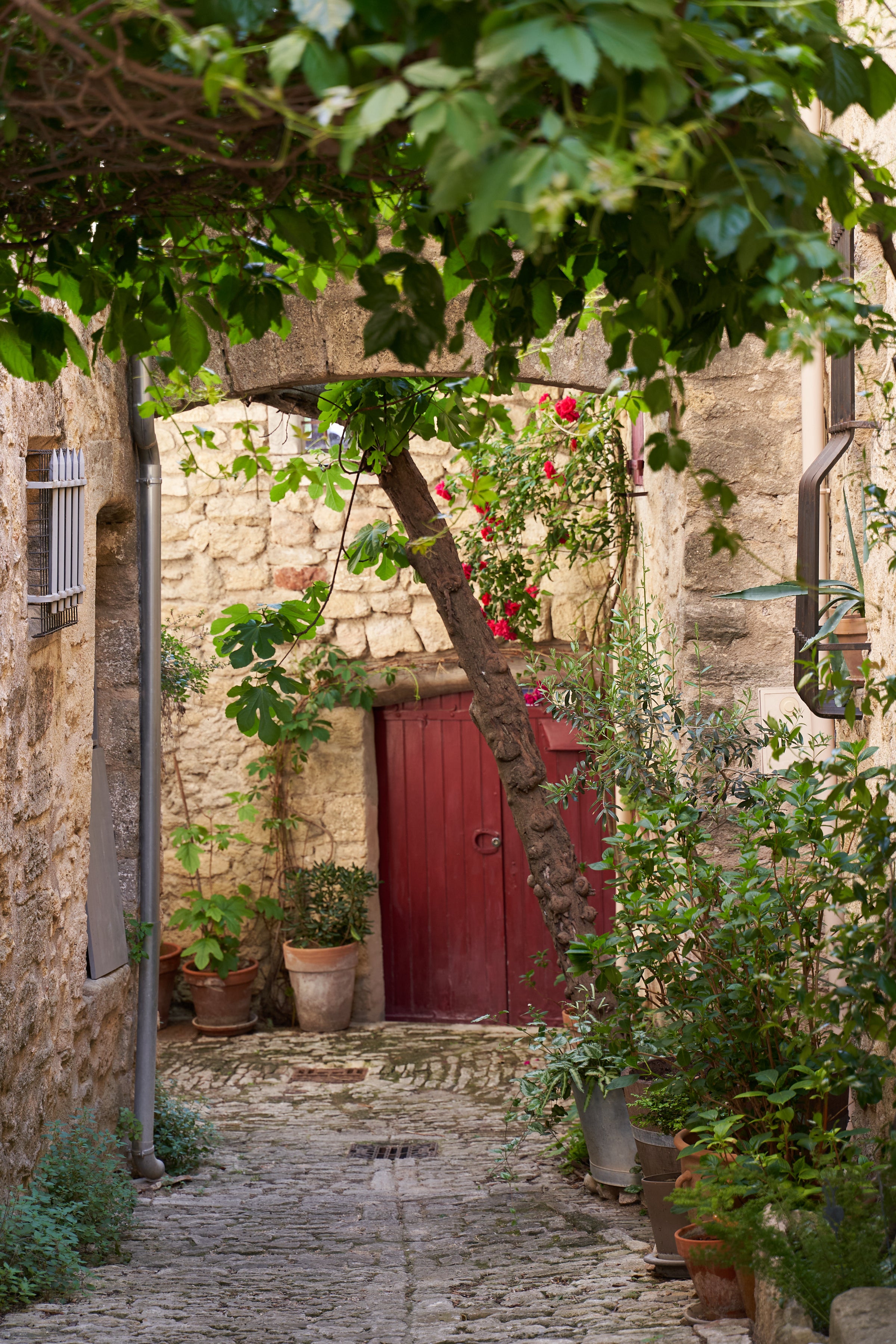 Ansouis: Provence Village in May – CouleurNature