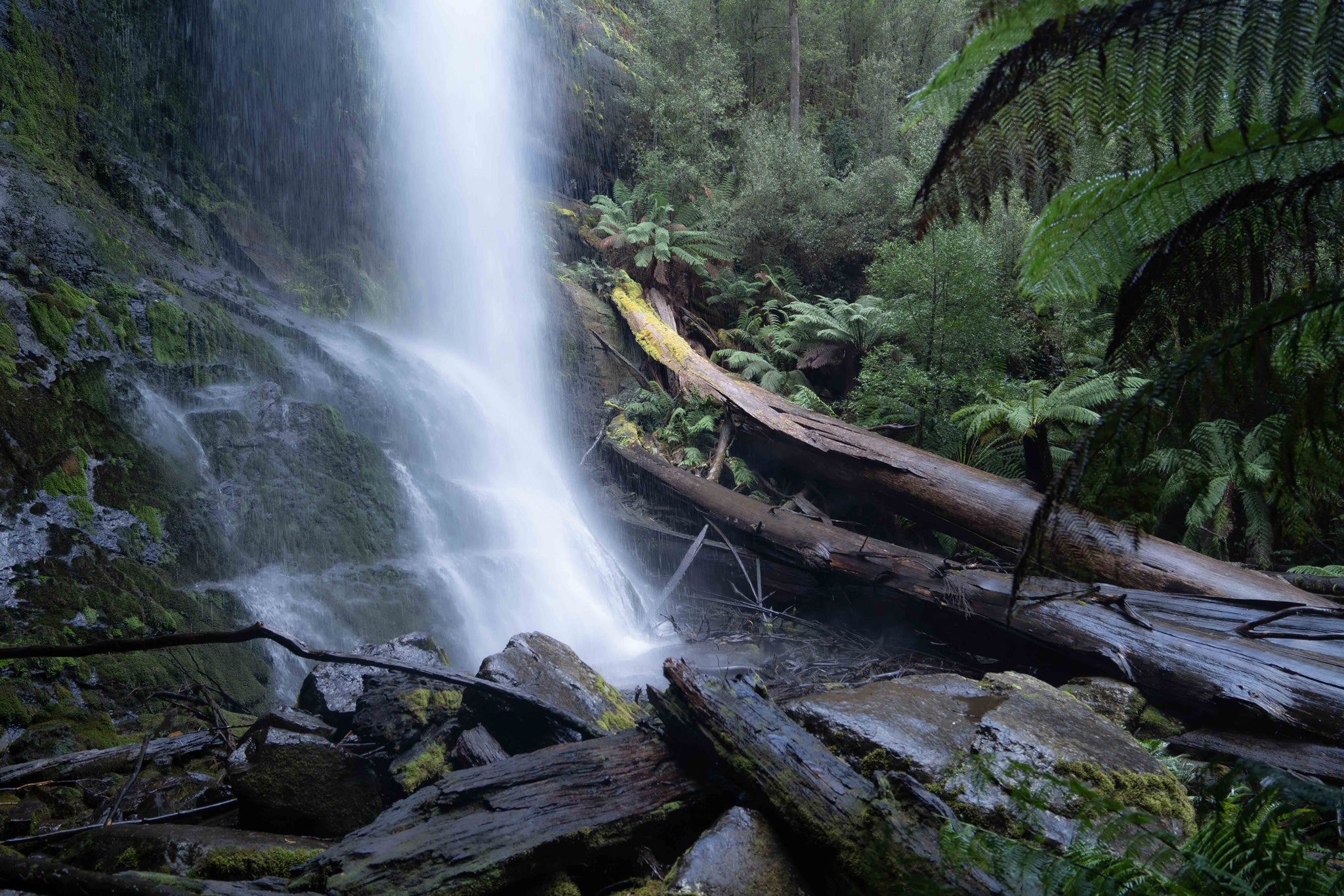 Marriott Falls Bushwalk 2022