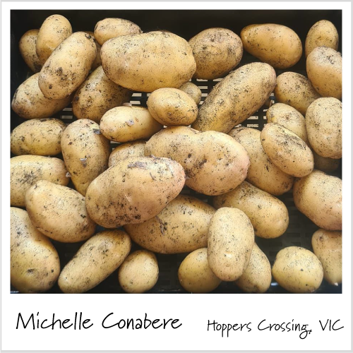 Michelle shows off her wonderful potato harvest using the potato grow bags from Aussie Gardener