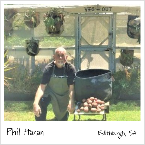 Phil with his first crop of potatoes using the potato bags.