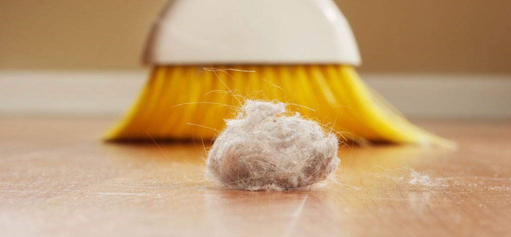 Image of broom sweeping up dust bunny