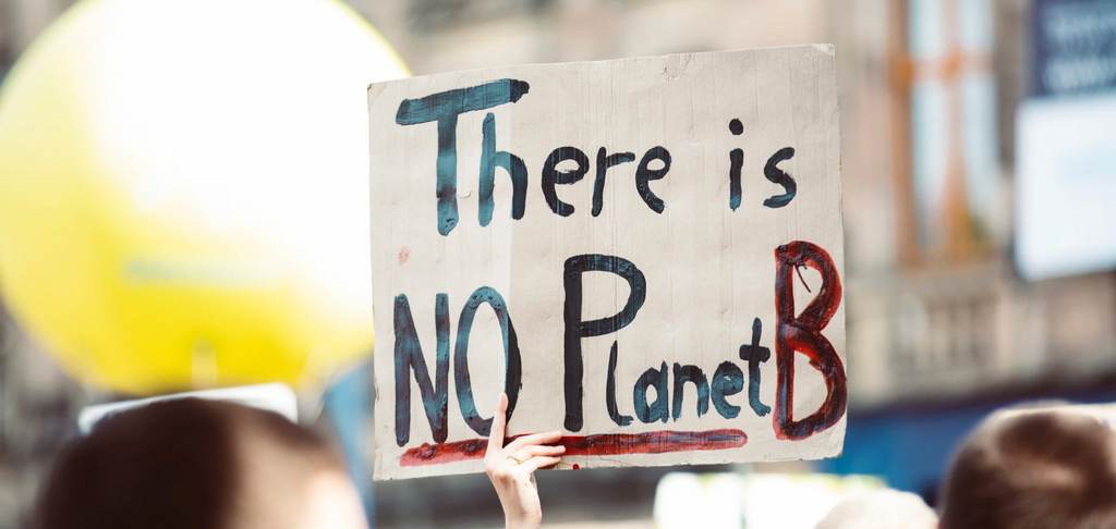 Image of a sign stating "There is NO planet B" 