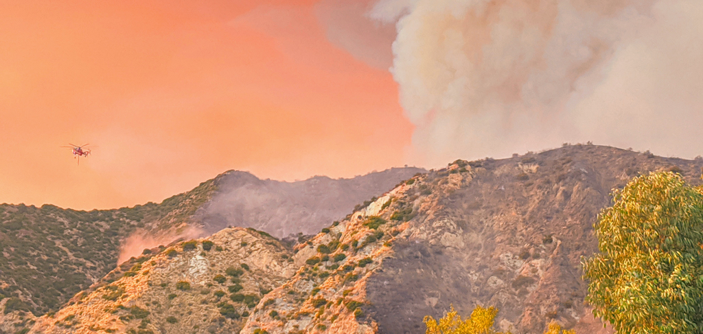 Image of a Wildfire