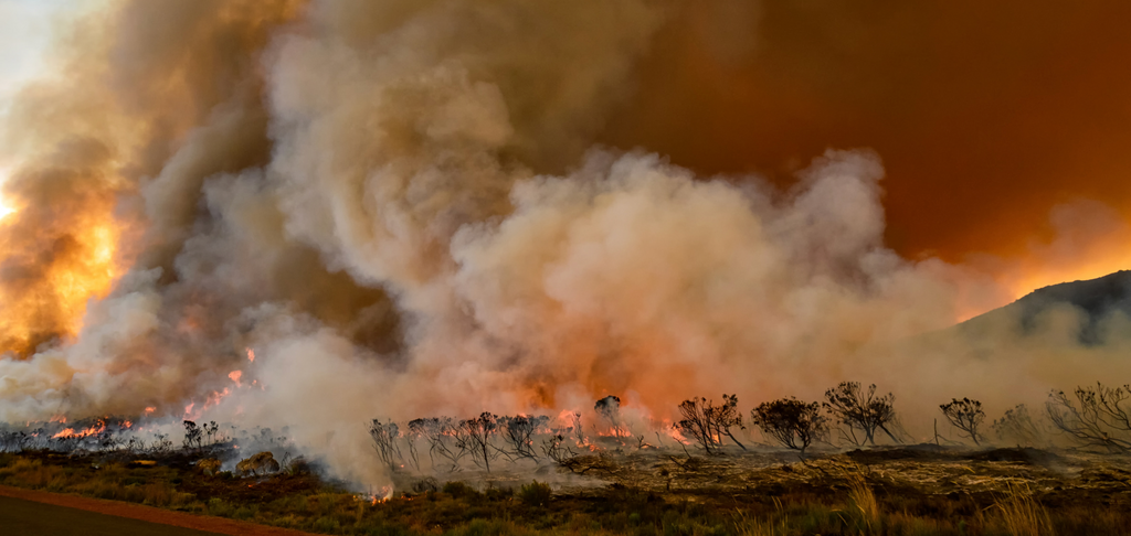 Image of wildfire