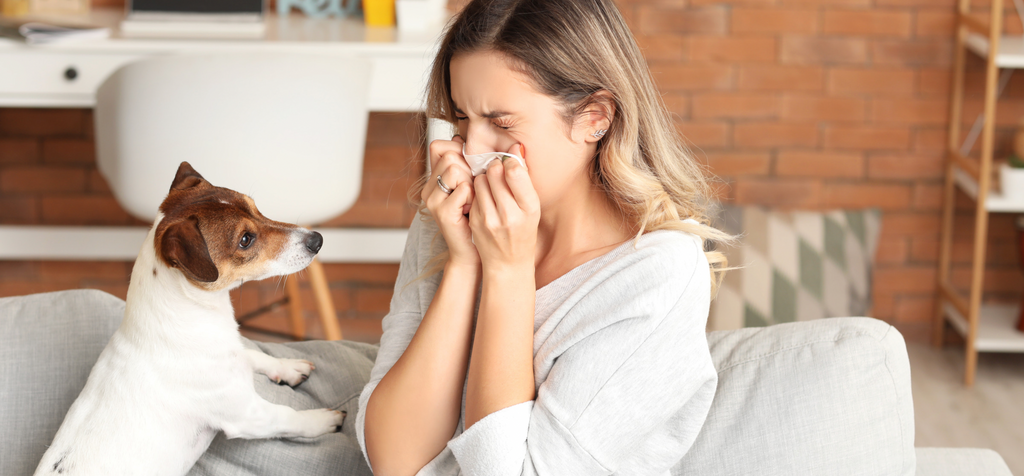 Image of woman sneezing from pet dander