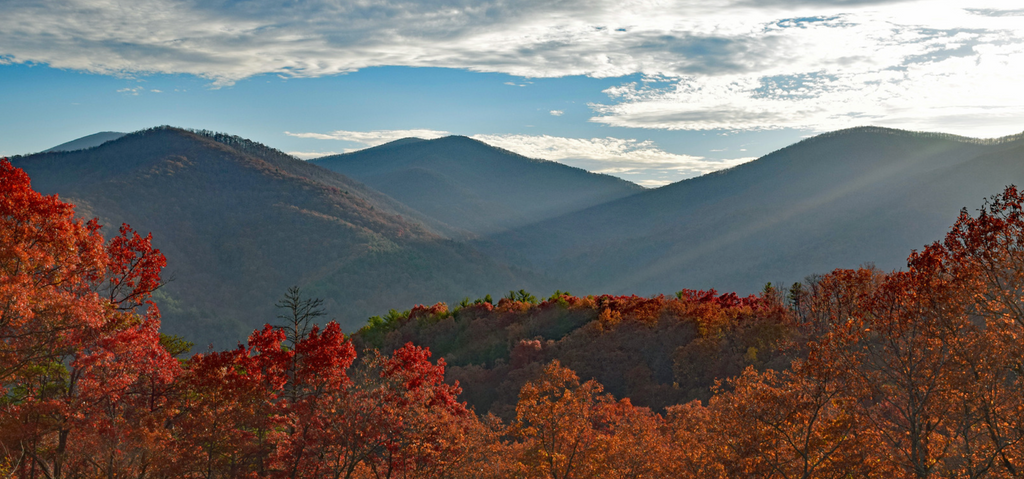 Image of autumn landscape with red leaves on trees