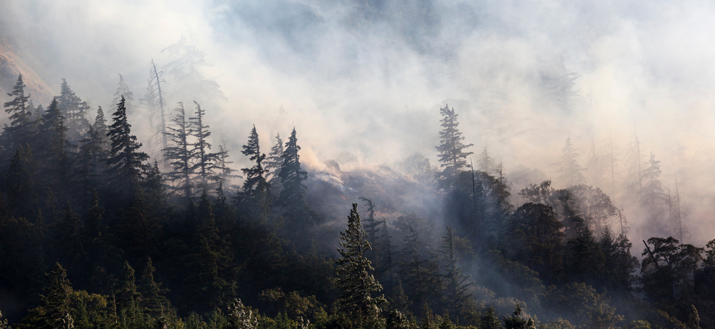 Image of Wildfire Smoke