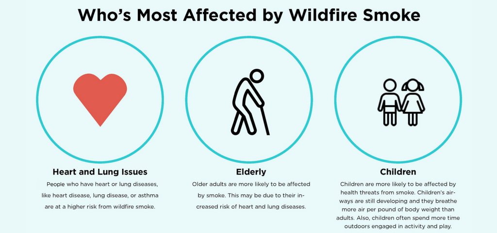 Who's Most Affected by Wildfire Smoke Infographic