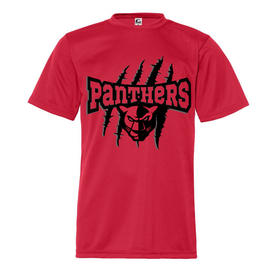 Dri Fit Panthers tee – Southern Lace Boutique