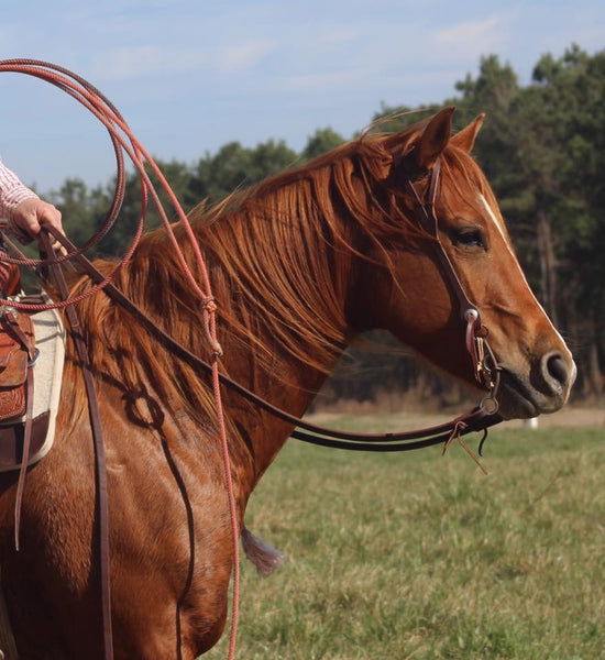 Cheaney 5/8" Split Reins – The Green Spur