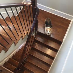 basement floor options, prefinished hardwood flooring