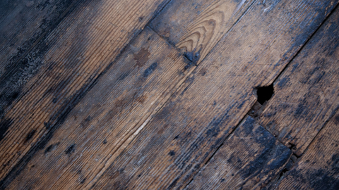 irreparable hardwood floor damage