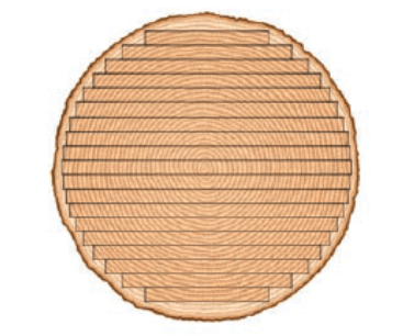 flat sawn log