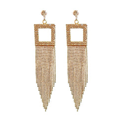 Stone Dangler Earrings 