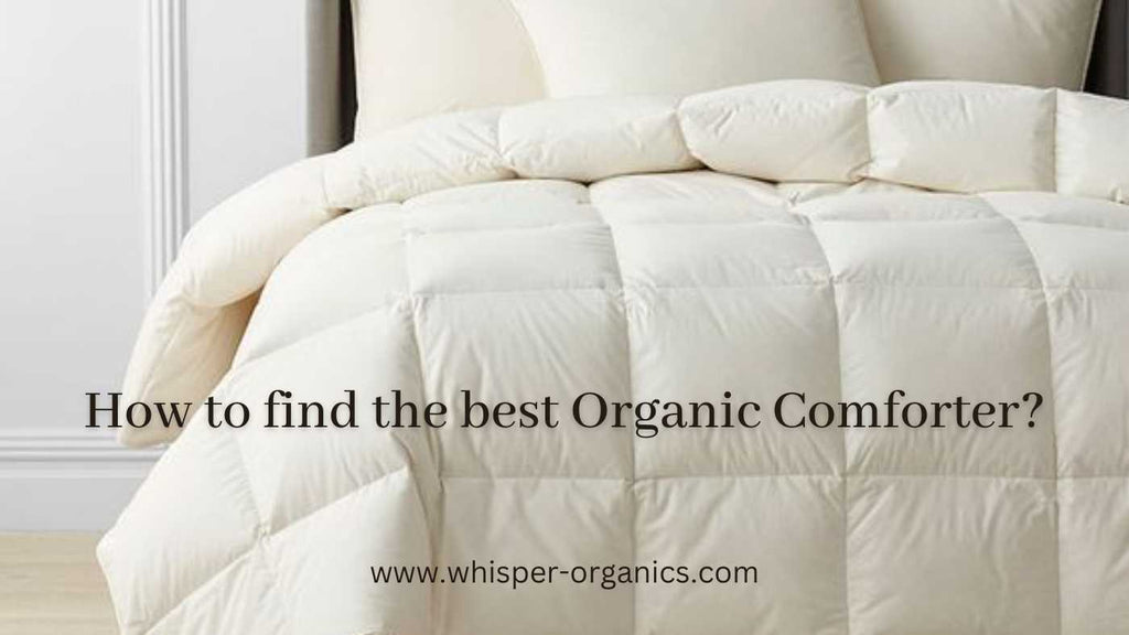 best-organic-comforter