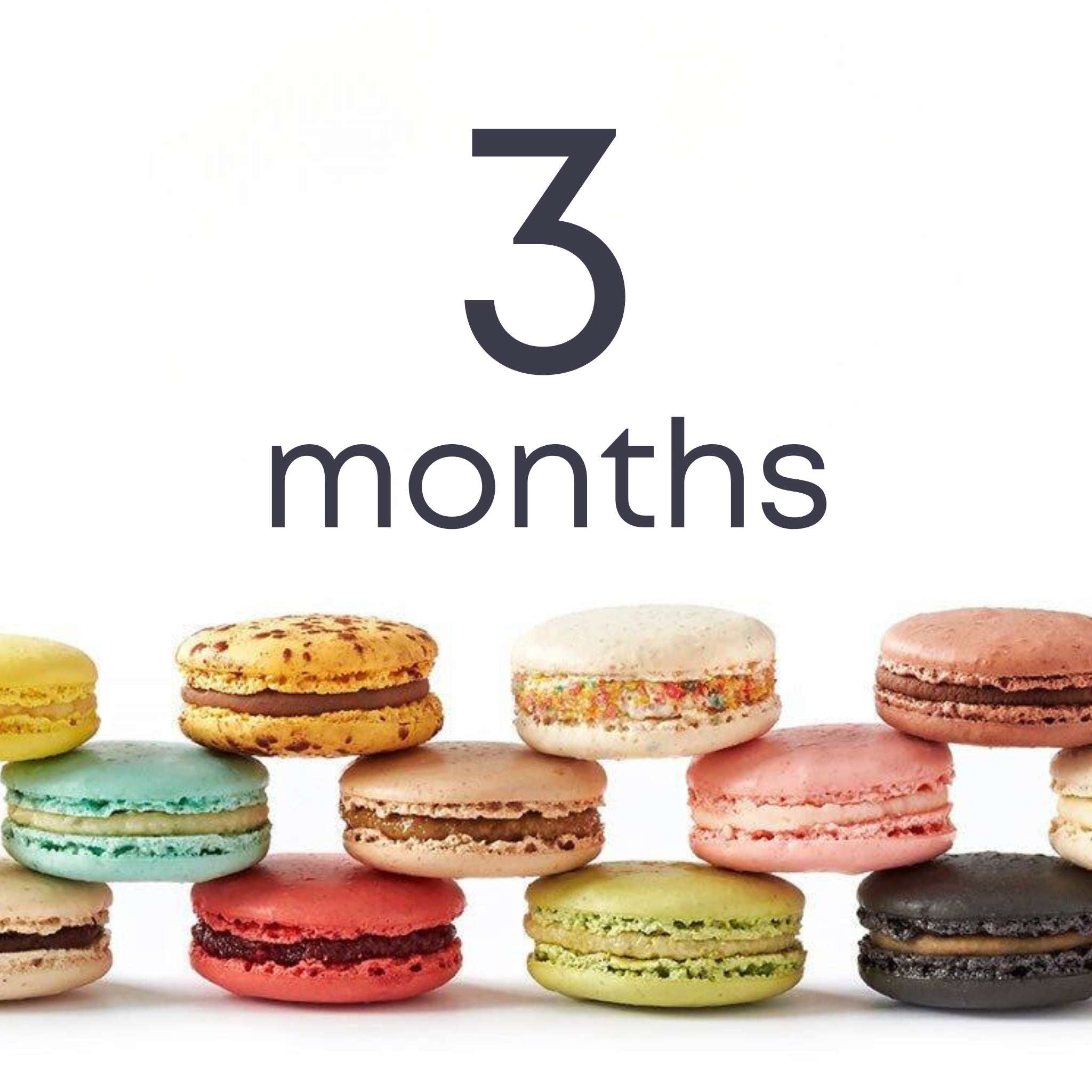 3-Month Subscription