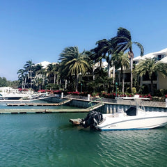 Shark Bite Turtle Cove Marina View Turks & Caicos