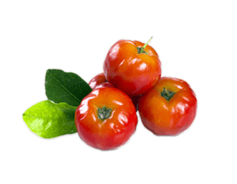 Acerola Berries