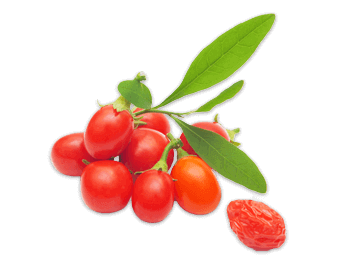 Goji Berries