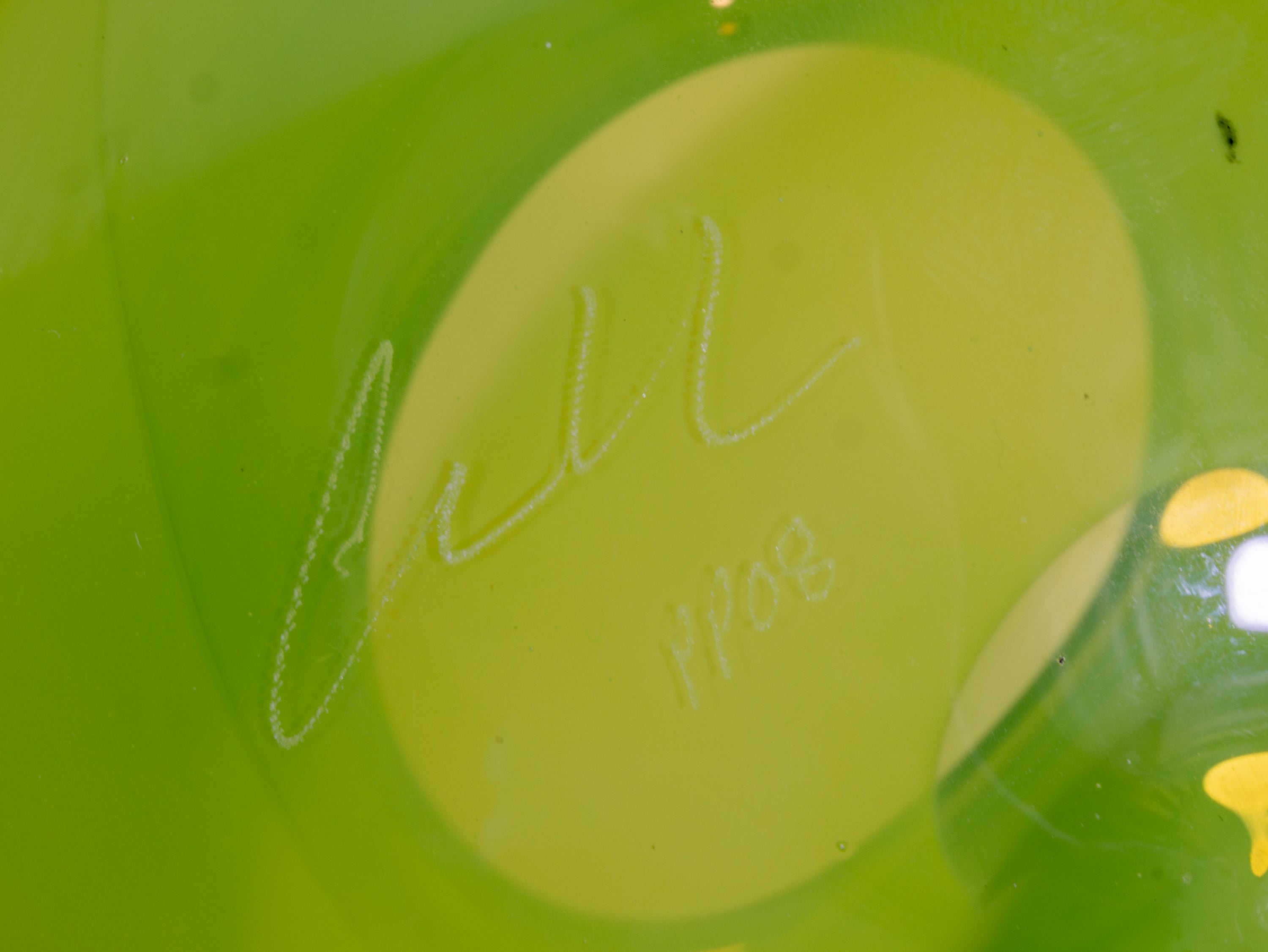 Close up of Dale Chihuly’s signature on glass