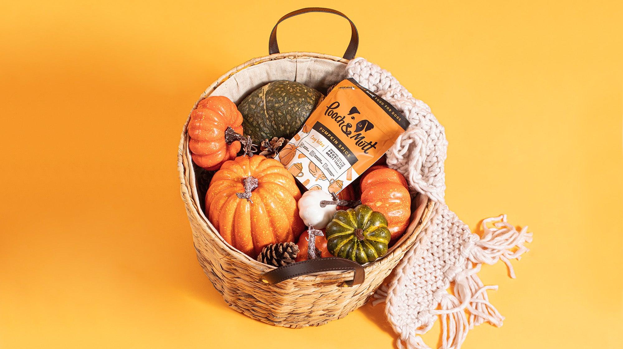 A wicker basket filled with pumpkins, squash and our Pumpkin Spice Meaty Treats