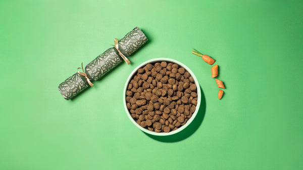 A dog bowl of dry Pooch & Mutt dog food, next to a Christmas cracker, against a green backdrop