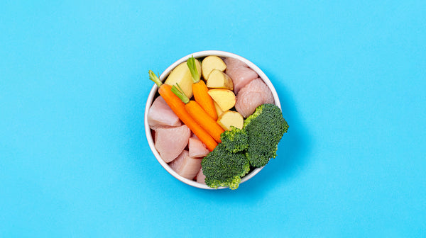 A dog bowl full of fresh, raw, Christmas dinner ingredients including turkey, carrots, broccoli and potatoes