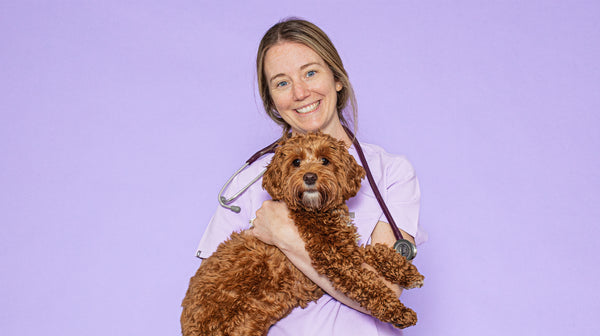 Our Pooch & Mutt Vet - Vet Linda, with a tan-coloured labradoodle, against a lilac background