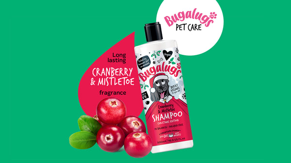 The Buglaugs Cranberry & Mistletoe Shampoo, against a dark green background