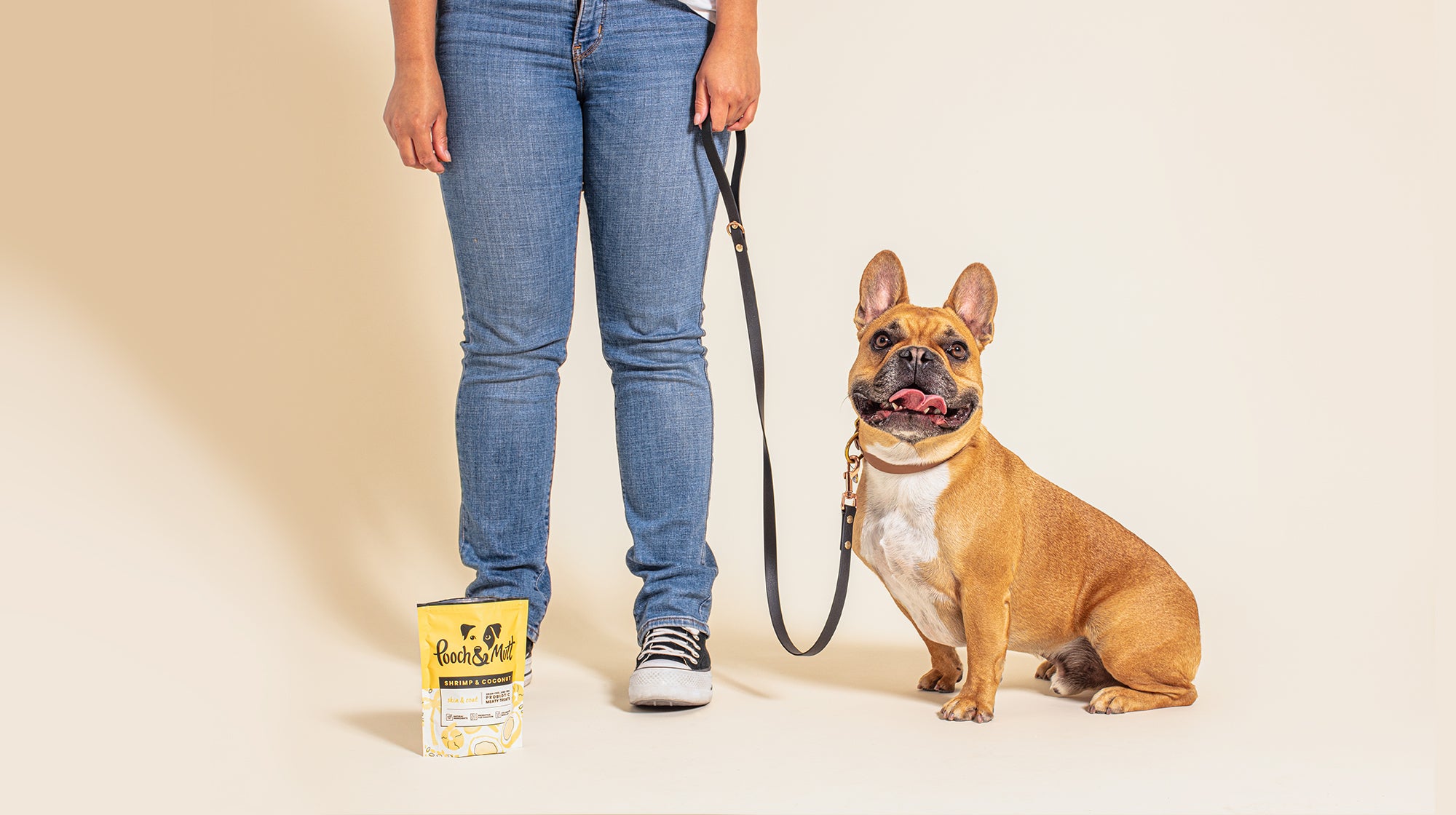 A French Bulldog, on a lead with their owner, against a cream coloured background